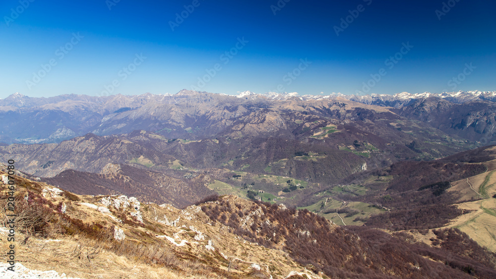 Fototapeta premium Spring is coming in the valley