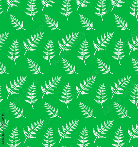 Leaves of fern seamless pattern. Botanical leaves vector background.
