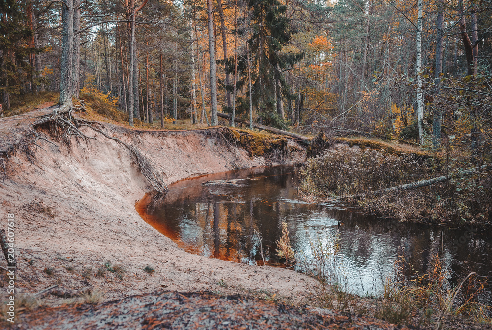 Overcast. Autumn sunset on the banks of a river. The trees have turned yellow. View of river with autumn trees. Overcast. Autumn sunset on the banks of a river. The trees have turned yellow. View of river with autumn trees.
