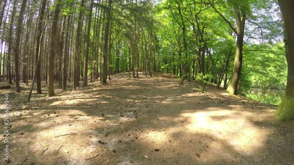 POV Mountain biking through magical Forest with sunbeams POV Mountain biking through magical Forest with sunbeams