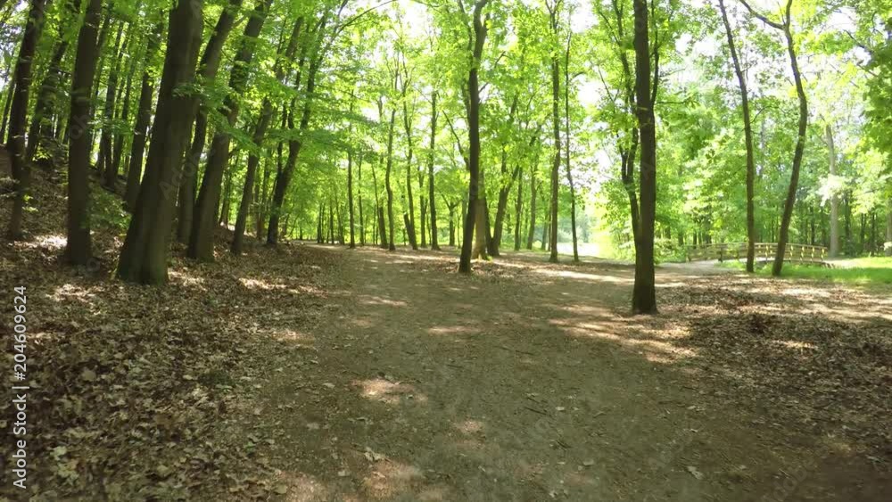 POV Mountain biking through magical Forest with sunbeams POV Mountain biking through magical Forest with sunbeams