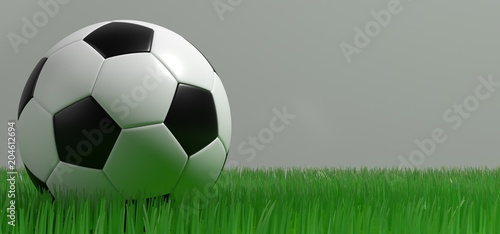 soccer ball on grass on gray isolate background