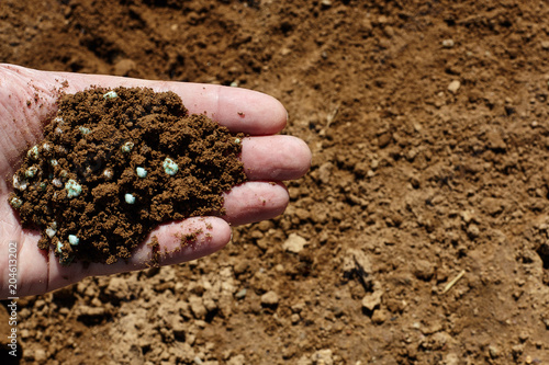 Hand holding soil with fertilizer on the ground.