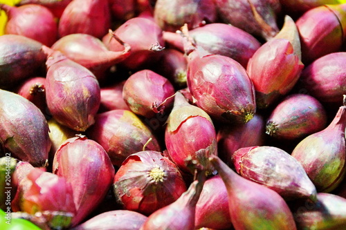 tubers bulbs. red onion. it's time to plant the farm. texture background