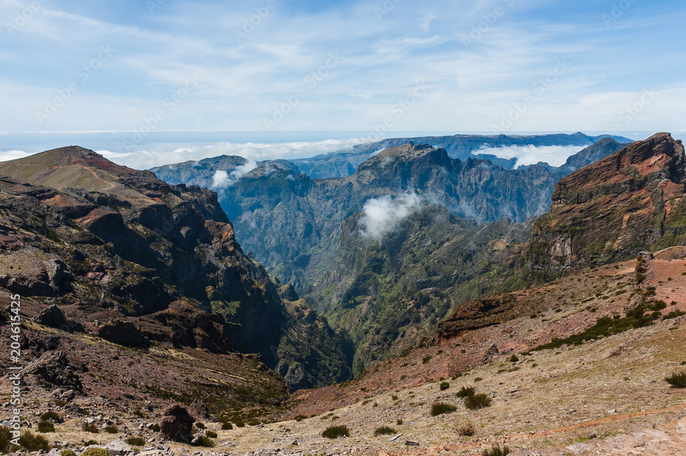 Fototapeta premium Madeira