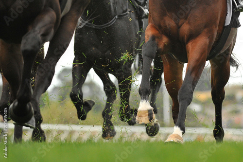 Horse racing action