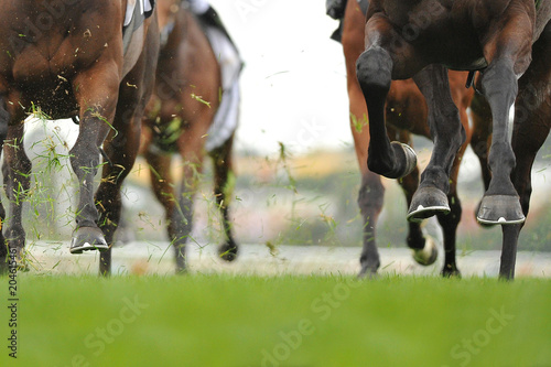 Valokuvatapetti Horse racing action
