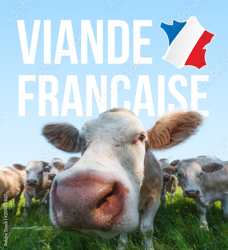 Obraz na płótnie Viande Française w salonie
