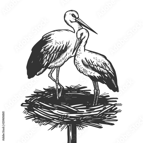 Stork in nest animal engraving vector illustration