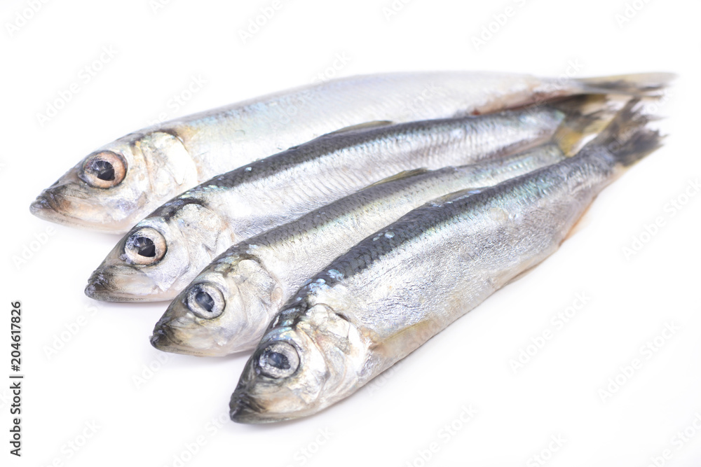 Fish sprat