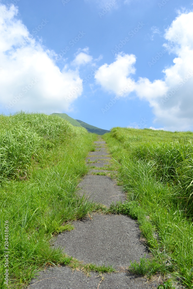 Obraz premium 草千里