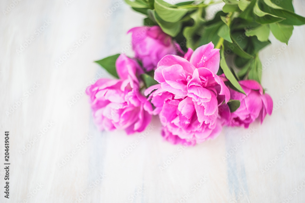 Summer flowers concept with peony Summer flowers concept with peony