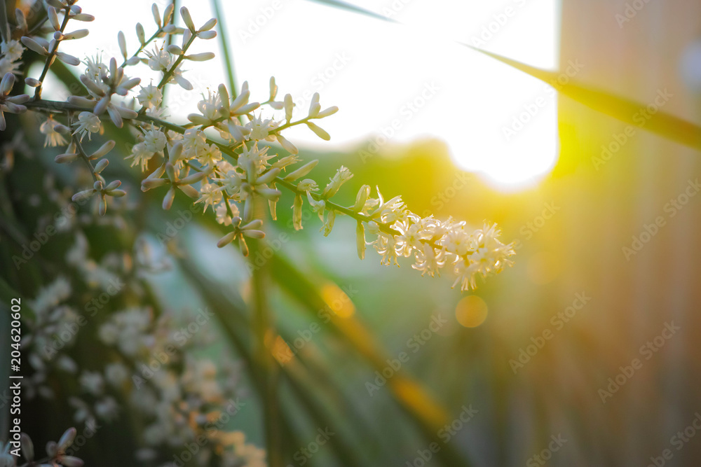 Fototapeta premium インテリア