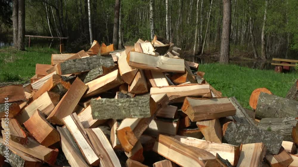 Prepare raw shopped firewood in stack for dry in farm Prepare raw shopped firewood in stack for dry in farm