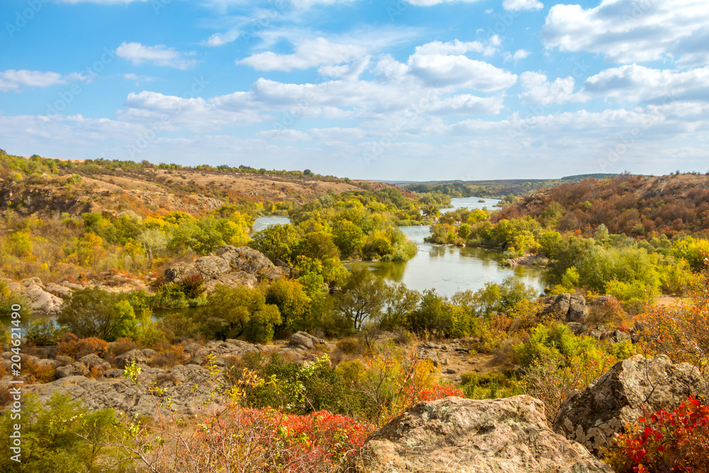 Summer Landscape with a River and Different Plants Summer Landscape with a River and Different Plants