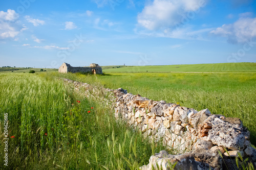 Fotografie Landscape of Apulian countryside in the springtime. Italy.