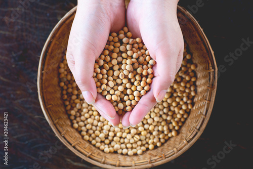Soybean nontoxic