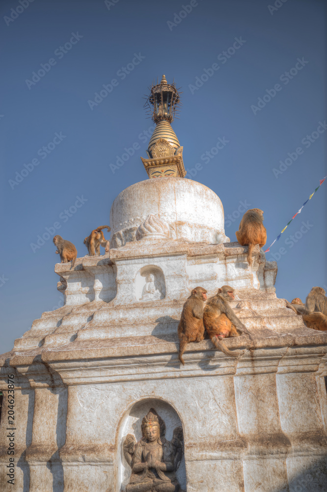 Fototapeta premium Swayambhunath Stupa