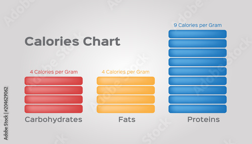 calories of protein fat and carbohydrate infographic vector