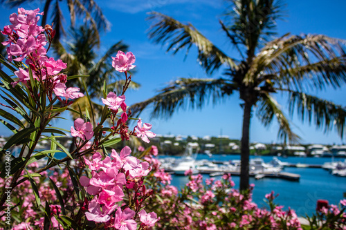 Fotografía Barr's Park, Hamilton, Bermuda