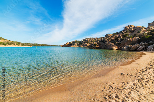 Colorful shore in Spalmatore beach in La Maddalena photo