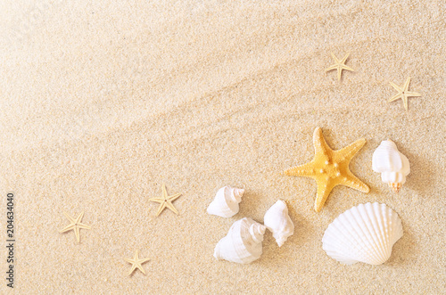 Seashells and starfish on the sand background. Summer beach.