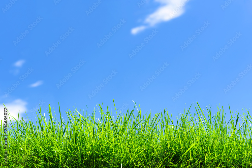 Spring natural background Spring natural background