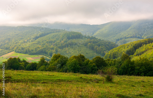 landscape with fields and forest on hillside. lovely foggy sunrise in mountains