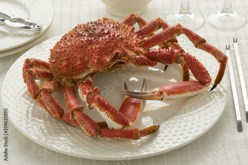 Whole cooked spider crab
