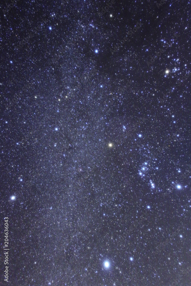 Fototapeta premium 冬の星空 星座