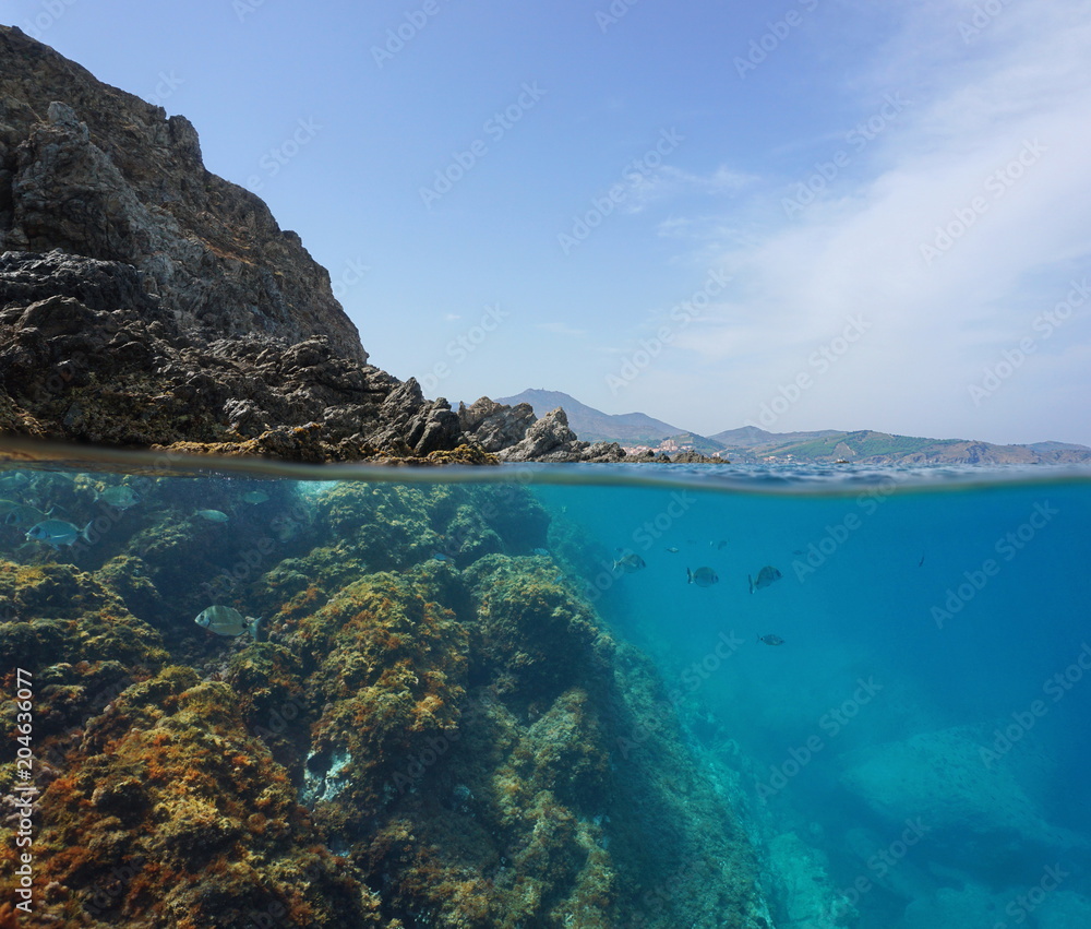 Mediterranean sea rocky shore with fish underwater, split view above and below water surface, Marine reserve of Cerbere Banyuls, Pyrenees Orientales, France