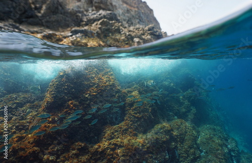 Mediterranean sea rocky shore split view above and below water surface with a school of fish underwater, Pyrenees Orientales, France
