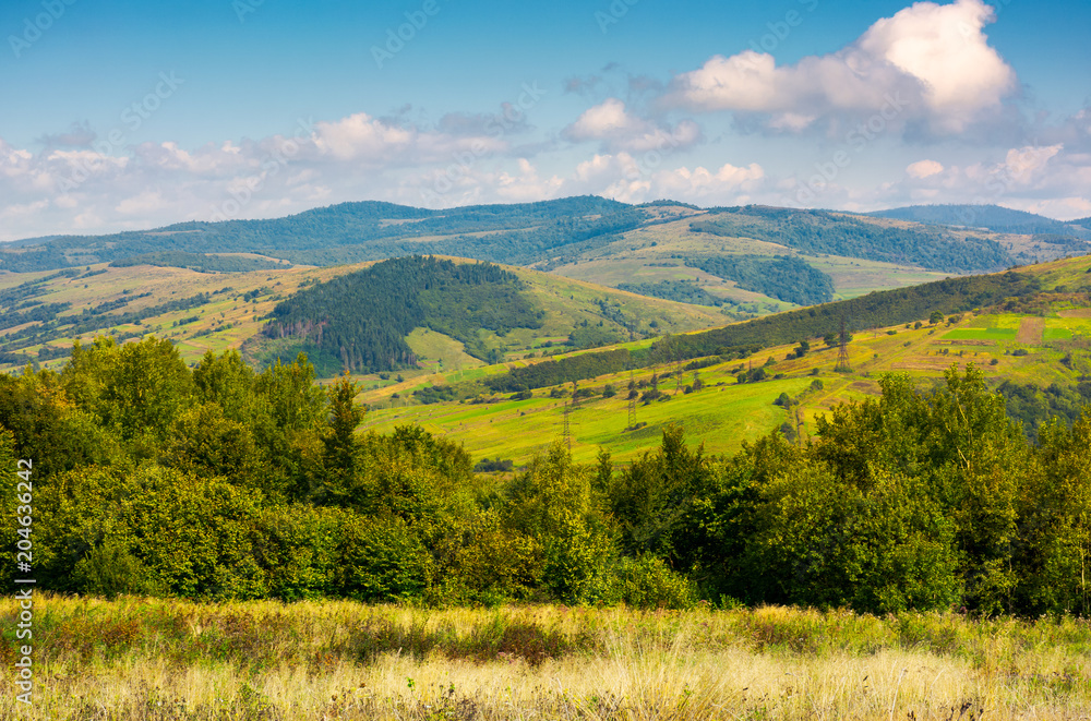 Obraz premium lovely Carpathian countryside in autumn. beautiful scenery of mountainous Volovets district, Ukraine