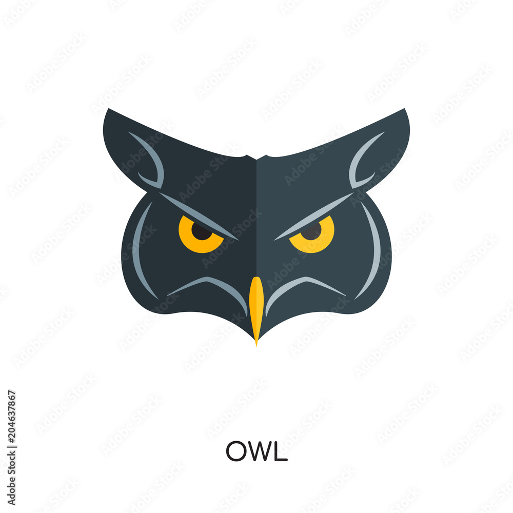 logo owl isolated on white background , colorful brand sign & symbol for your business