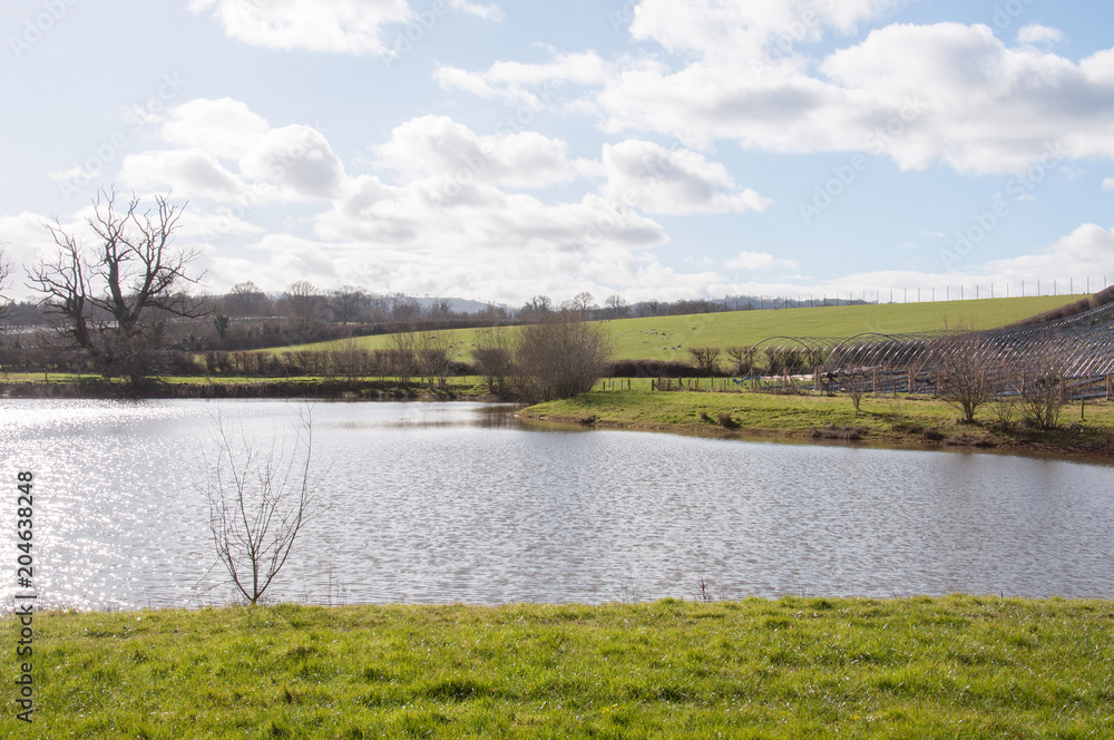 Pond and grassy hills in the summertime.