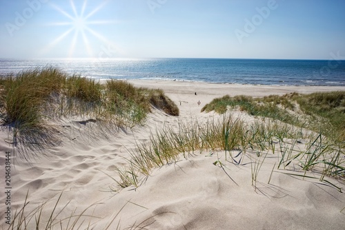 Fototapeta Naklejka Na Ścianę i Meble -  Strandübergang zur Nordsee, Dänemark