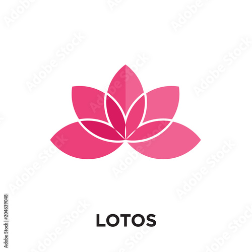 lotos logo isolated on white background   colorful vector icon  brand sign   symbol for your business