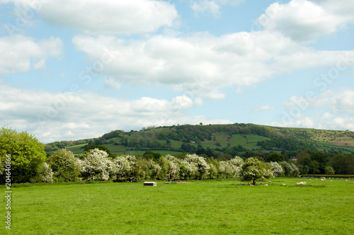 Wye valley landscape in the summertime.