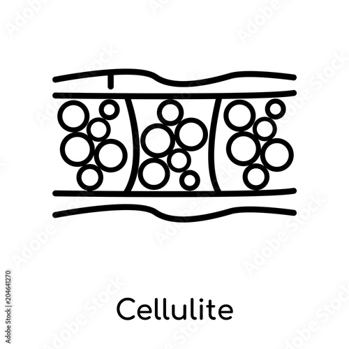 Cellulite icon isolated on white background , black outline sign, linear modern symbol