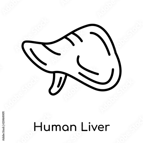 Human Liver icon isolated on white background , black outline sign, linear modern symbol