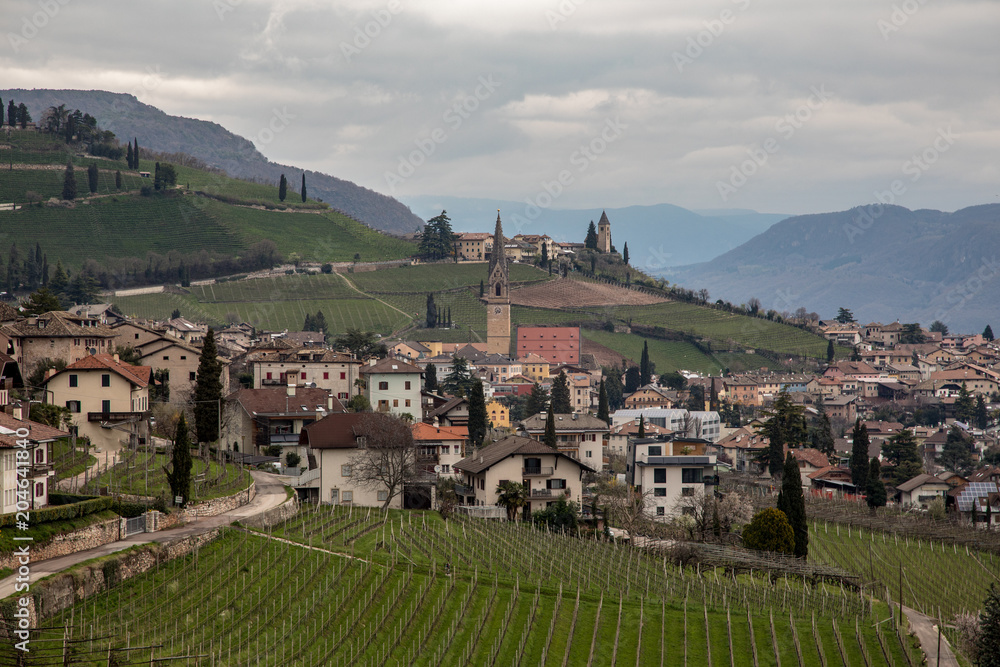 Cortaccia, strada del Vino, South Tyrol