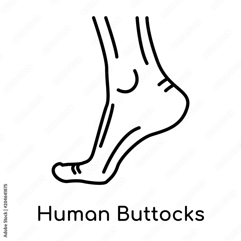 Human Buttocks icon isolated on white background , black outline sign, linear modern symbol Human Buttocks icon isolated on white background , black outline sign, linear modern symbol