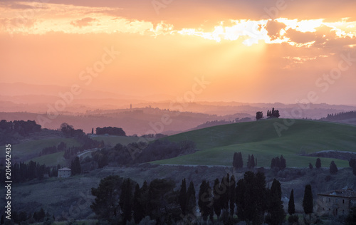 Golden Sun in the Tuscany