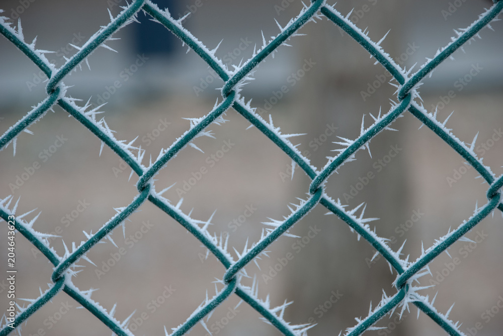 Ice spikes on the mesh Ice spikes on the mesh