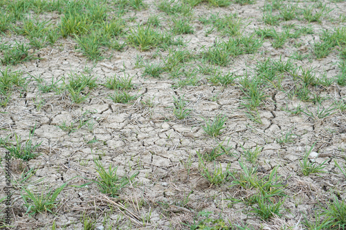 dry farmland because of no ...