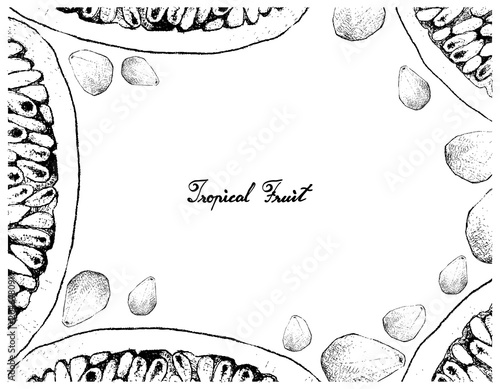 Hand Drawn Frame of Banana Passionfruit and Cempedak