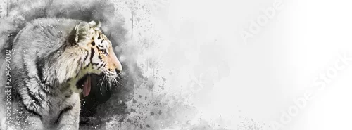 Obraz Syberyjski tygrys mieszany baner multimedialny o subtelnym kolorze