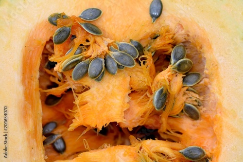 Pumpkin (Cucurbita pepo var. Oleifera) - healthy seeds no longer necessary to peel