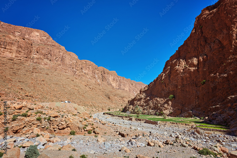 Todgha Gorge, a canyon in the High Atlas Mountains in Morocco