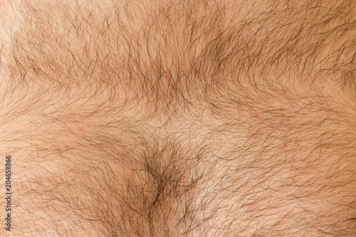 Hairy chest